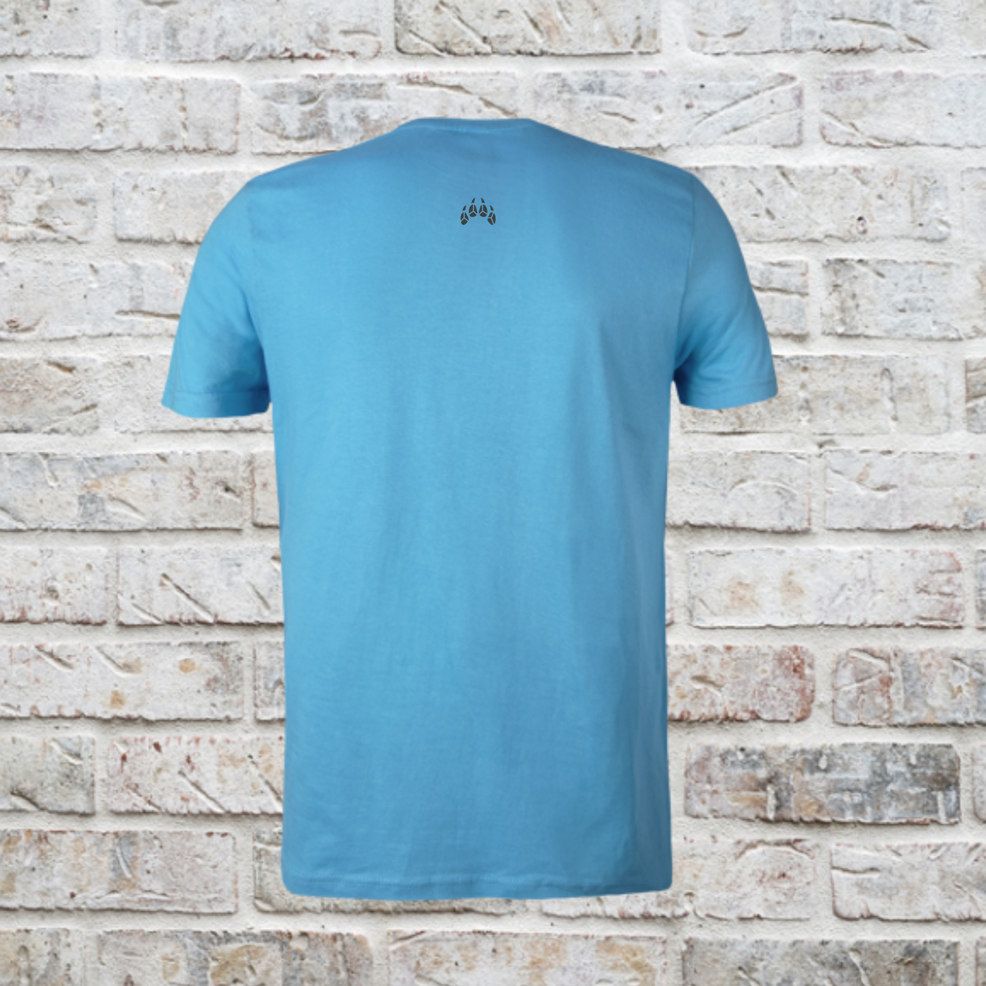 Frontier Series Boys Tee | Alpine