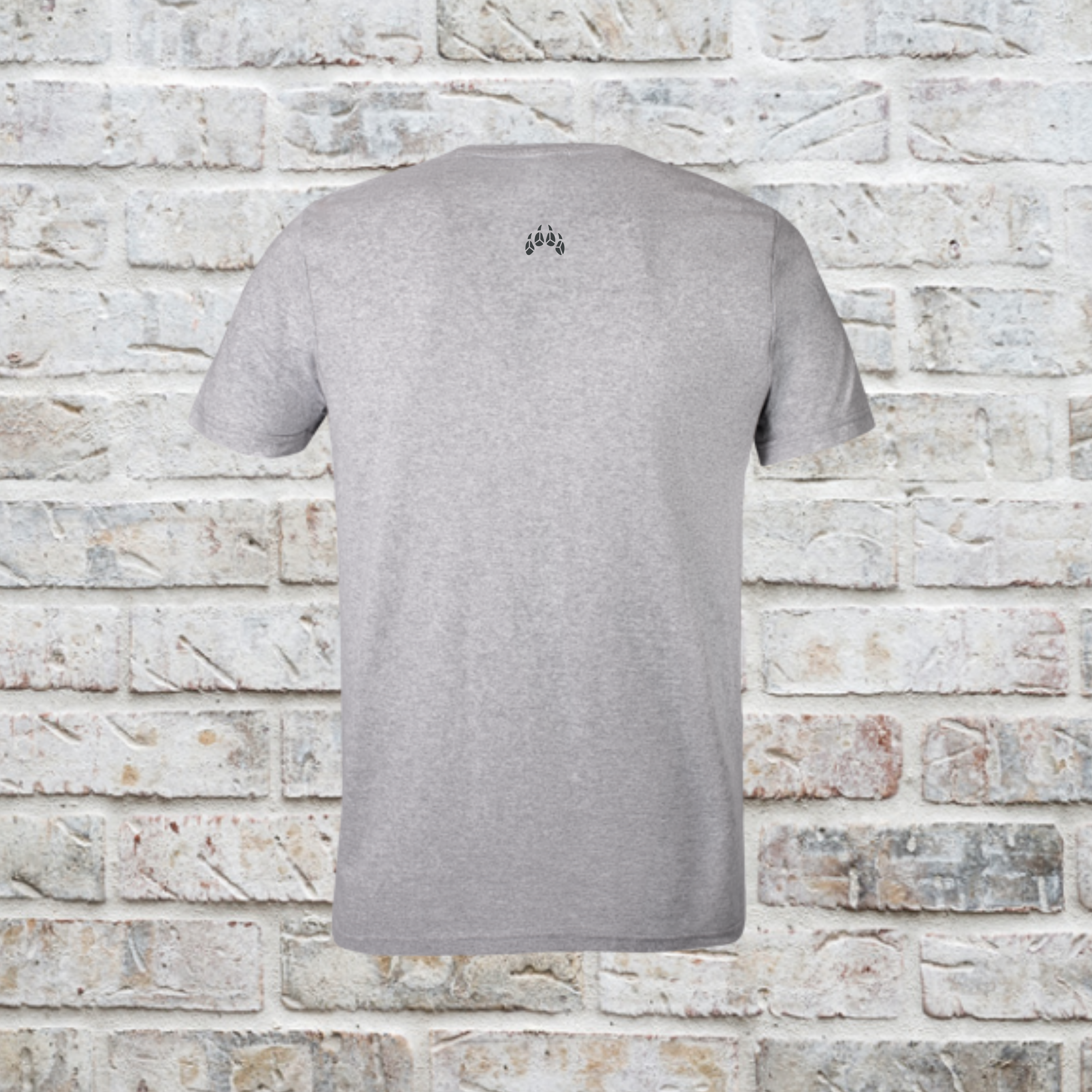 Wildlands Series Boys Tee | Dolomite